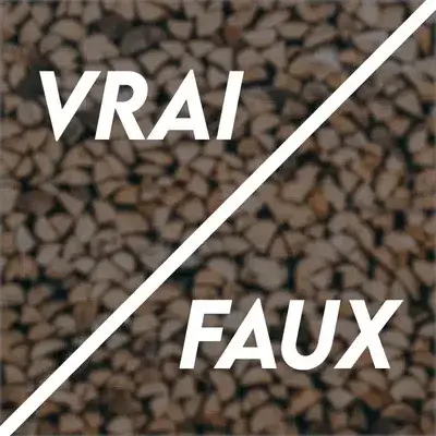 Questions du vrai et faux